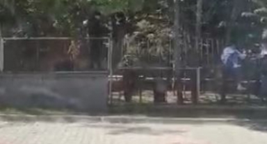 Öğrencilerin okuldan kaçışları tehlike saçıyor
