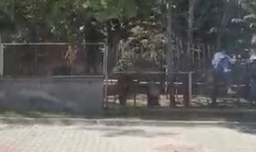 Öğrencilerin okuldan kaçışları tehlike saçıyor