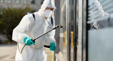 İzmir Böcek İlaçlama