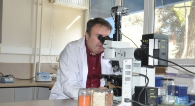 EGE TOTEM Ata Tohumlarına Sahip Çıkıyor