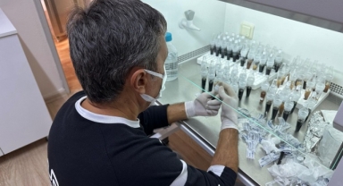 Likya Salebine Hayat Projesi