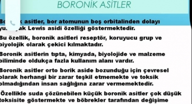 Türkiye’nin Bor Hazinesi Sağlık İçin İşleniyor