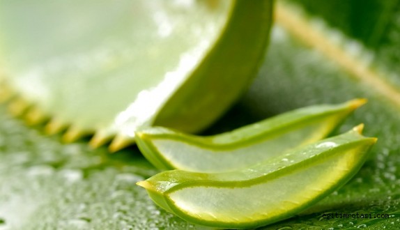 Aloe Veranın İnanılmaz Faydaları
