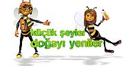 Küçük Şeyler Doğayı Yeniler Projesi