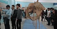 Türkiye’nin ilk ve tek akademik müzesi
