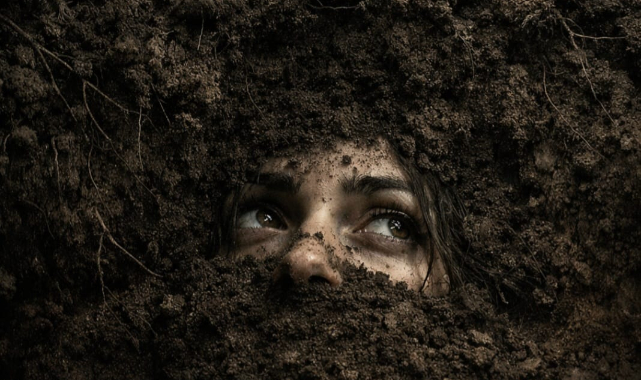 Toprak Kapanır, Utanç Kapanmaz