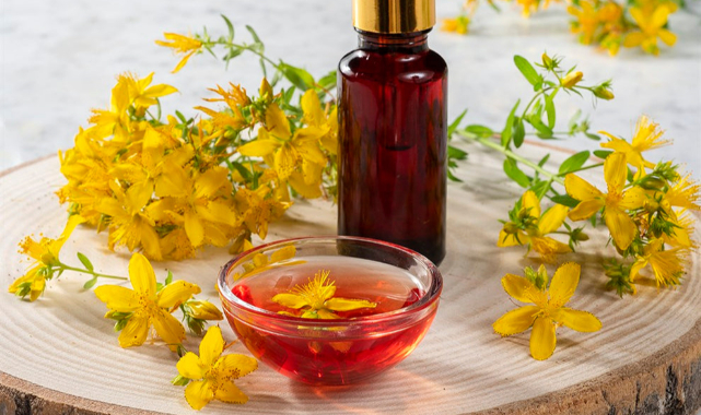 Sarı Kantaron: Gelenekten Bilime Uzanan Şifa Bitkisi